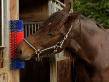 Obrázek k výrobku 125270 - Drbadlo kartáčové, půlkulaté KERBL 293100, 22x50x9cm