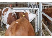 Obrázek k výrobku 125271 - Drbadlo pružinové KERBL 29310 TEXAS