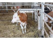 Obrázek k výrobku 125271 - Drbadlo pružinové KERBL 29310 TEXAS