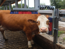 Obrázek k výrobku 125272 - Drbadlo pružinové KERBL 29325 EUROFARM