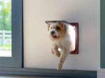 Obrázek k výrobku 125277 - Dvířka pro kočky a malé psy KERBL 80864 CAT MATE XL - 221B, 4-cestná, hnědá