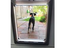 Obrázek k výrobku 125280 - Dvířka pro psy KERBL 80885 DOG MATE XL - 216B, 2-cestná, hnědá