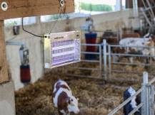 Obrázek k výrobku 125286 - Elektrický lapač hmyzu KERBL 299936 ECOKILL INOX 2040 IPX4 2x18 W