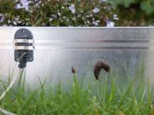 Obrázek k výrobku 125291 - Elektrický ohradník proti slimákům KERBL 291130 SNAILSTOP