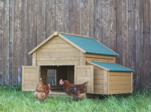 Obrázek k výrobku 125344 - Hřad a kukaň pro drůbež KERBL 82808, 85x37x48 cm