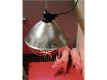 Obrázek k výrobku 125349 - Infralampa KERBL 22729, 250W s hliníkovým stínítkem 35cm a kabelem 5m