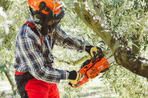 Obrázek k výrobku 81019 - Japonská motorová pila ECHO CS-2511WES/30