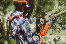 Obrázek k výrobku 81019 - Japonská motorová pila ECHO CS-2511WES/30