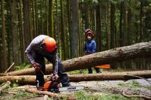 Obrázek k výrobku 81034 - Japonská motorová pila ECHO CS-4920ES