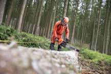 Obrázek k výrobku 81437 - Japonská motorová pila ECHO CS-7310SX