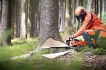 Obrázek k výrobku 81437 - Japonská motorová pila ECHO CS-7310SX