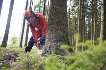 Obrázek k výrobku 81437 - Japonská motorová pila ECHO CS-7310SX