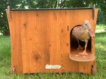 Obrázek k výrobku 125375 - Kachník DUCKY M