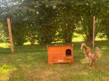 Obrázek k výrobku 125374 - Kachník  DUCKY S