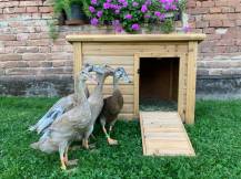 Obrázek k výrobku 125376 - Kachník KERBL 82809 DUCK TOWN