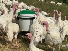 Obrázek k výrobku 126515 - Kbelíková napáječka pro slepice, drůbež RIVER SYSTEMS RIVUS 141/03 - 17l, plastová s niply