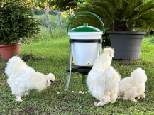 Obrázek k výrobku 126515 - Kbelíková napáječka pro slepice, drůbež RIVER SYSTEMS RIVUS 141/03 - 17l, plastová s niply