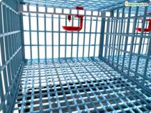 Obrázek k výrobku 125401 - Klec pro křepelky CIMUKA BYK-03-2K