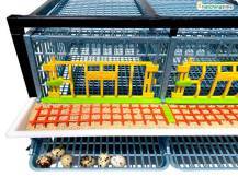 Obrázek k výrobku 125404 - Klec pro křepelky CIMUKA BYK-03-5K