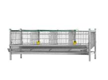 Obrázek k výrobku 125407 - Klec pro křepelky GAUN 32220 přídavné patro k 0440