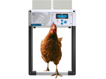 Obrázek k výrobku 126291 - Komplet automatického otevírání a zavírání kurníku CHICKEN GUARD ALL IN ONE
