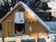 Obrázek k výrobku 126291 - Komplet automatického otevírání a zavírání kurníku CHICKEN GUARD ALL IN ONE