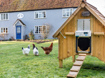 Obrázek k výrobku 126291 - Komplet automatického otevírání a zavírání kurníku CHICKEN GUARD ALL IN ONE