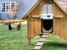 Obrázek k výrobku 126291 - Komplet automatického otevírání a zavírání kurníku CHICKEN GUARD ALL IN ONE
