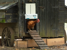 Obrázek k výrobku 126291 - Komplet automatického otevírání a zavírání kurníku CHICKEN GUARD ALL IN ONE