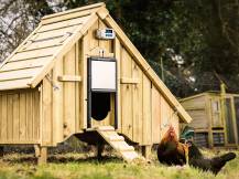 Obrázek k výrobku 125456 - Komplet automatického otevírání a zavírání kurníku CHICKEN GUARD PRO 25x30