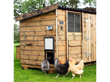 Obrázek k výrobku 126413 - Komplet automatického otevírání a zavírání kurníku CHICKEN GUARD PRO 25x30 SOLAR KIT