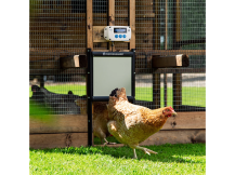 Obrázek k výrobku 126413 - Komplet automatického otevírání a zavírání kurníku CHICKEN GUARD PRO 25x30 SOLAR KIT