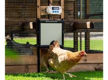 Obrázek k výrobku 126413 - Komplet automatického otevírání a zavírání kurníku CHICKEN GUARD PRO 25x30 SOLAR KIT