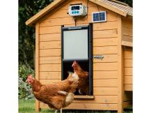 Obrázek k výrobku 126413 - Komplet automatického otevírání a zavírání kurníku CHICKEN GUARD PRO 25x30 SOLAR KIT