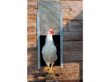 Obrázek k výrobku 125457 - Komplet automatického otevírání a zavírání kurníku JOSTechnik HK-Bat 23x34 D