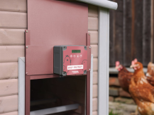 Obrázek k výrobku 126487 - Komplet automatického otevírání a zavírání kurníku KERBL 70590 EASY PROTECT 30x33 R, růžová