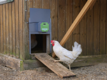 Obrázek k výrobku 126488 - Komplet automatického otevírání a zavírání kurníku KERBL 70592 EASY PROTECT 44x43 R