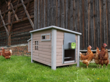 Obrázek k výrobku 126488 - Komplet automatického otevírání a zavírání kurníku KERBL 70592 EASY PROTECT 44x43 R