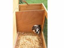 Obrázek k výrobku 121780 - Králíkárna KERBL BUDDY 116x52x82 cm