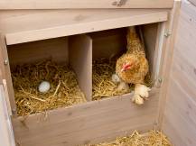 Obrázek k výrobku 75502 - Kurník pro slepice KERBL 81702 EMMA