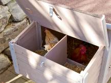 Obrázek k výrobku 75502 - Kurník pro slepice KERBL 81702 EMMA