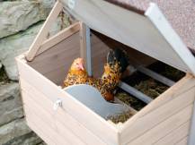 Obrázek k výrobku 75500 - Kurník pro slepice KERBL 81713 BONNY