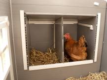 Obrázek k výrobku 75499 - Kurník pro slepice KERBL 81731 BARNEY