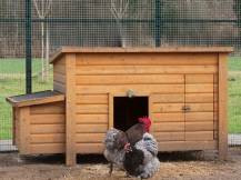 Obrázek k výrobku 75501 - Kurník pro slepice KERBL 82827 FLORENTINA