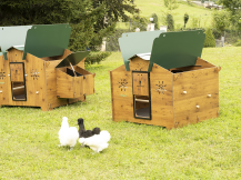 Obrázek k výrobku 125514 - Kurník pro slepice POLLY CHALET 2XL