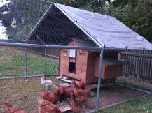 Obrázek k výrobku 119890 - Kurník pro slepice POLLY CHALET 4XL