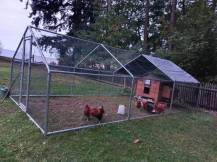 Obrázek k výrobku 119890 - Kurník pro slepice POLLY CHALET 4XL