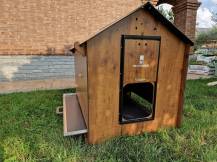 Obrázek k výrobku 119889 - Kurník pro slepice POLLY CLASSIC 2XL