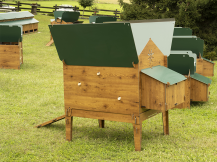 Obrázek k výrobku 119889 - Kurník pro slepice POLLY CLASSIC 2XL