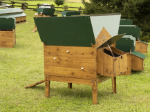 Obrázek k výrobku 119889 - Kurník pro slepice POLLY CLASSIC 2XL